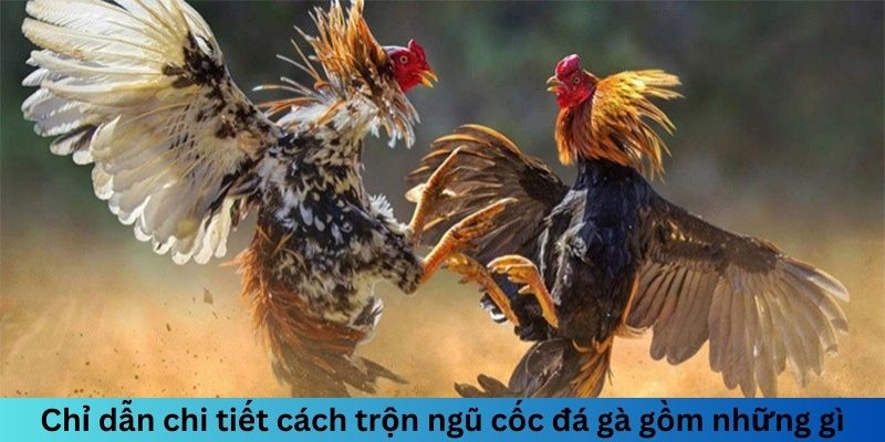 Ngũ Cốc Đá Gà Gồm Những Gì? Chế Độ Dinh Dưỡng Hoàn Hảo 2 Jun88king Com - Trang Chủ Jun88.com #1 Việt Nam Chỉ dẫn chi tiết cách trộn ngũ cốc đá gà gồm những gì?