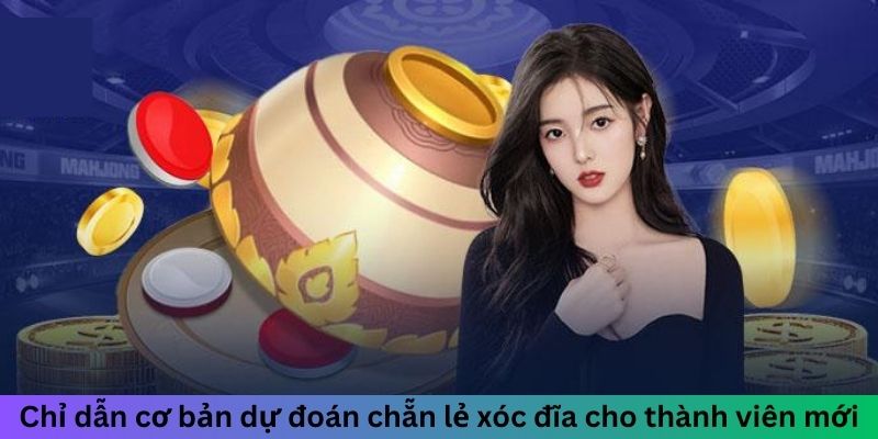 Dự Đoán Chẵn Lẻ Xóc Đĩa - Cách Soi Cầu Đầy Hiệu Quả 2024 3 Jun88king Com - Trang Chủ Jun88.com #1 Việt Nam Chỉ dẫn cơ bản dự đoán chẵn lẻ xóc đĩa cho thành viên mới