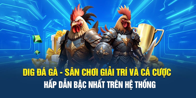 DIG Đá Gà - Sảnh Cược Chọi Gà Hấp Dẫn Hot Nhất 2024 1 Jun88king Com - Trang Chủ Jun88.com #1 Việt Nam Thưởng thức các trận đấu kịch tính trên nền tảng trực tuyến