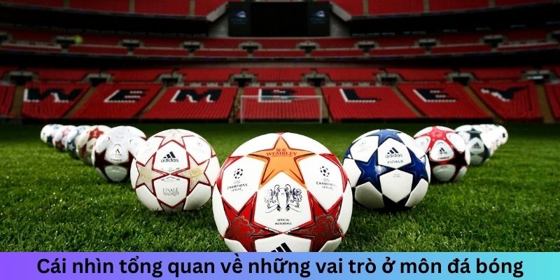 Các Vị Trí Bóng Đá - Tìm Hiểu Vai Trò Của Mỗi Cầu Thủ 1 Jun88king Com - Trang Chủ Jun88.com #1 Việt Nam Cái nhìn tổng quan về những vai trò ở môn đá bóng