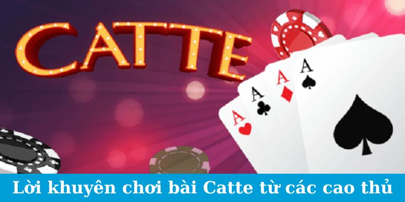 Bài Catte Jun88 - Lộ Trình Thành Cao Thủ Thắng Lớn Bất Bại 3 Jun88king Com - Trang Chủ Jun88.com #1 Việt Nam Lời khuyên chơi bài Catte từ các cao thủ