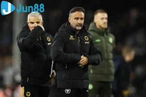 vitor pereira manager wolverhamp 69098758d6f73 Jun88king Com - Trang Chủ Jun88.com #1 Việt Nam